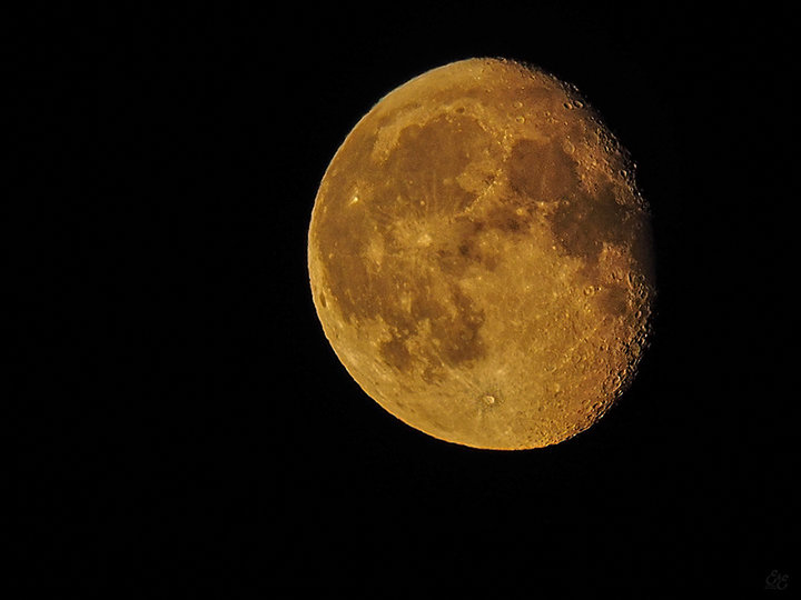 P9010845 2.jpg