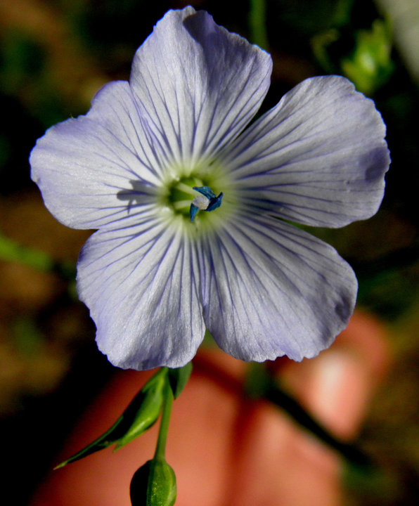 P8260001.JPG