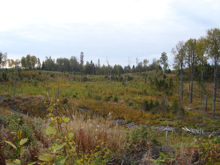 DSC04380.JPG