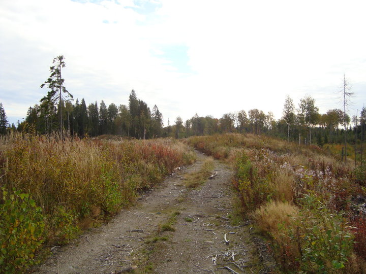 DSC04381.JPG