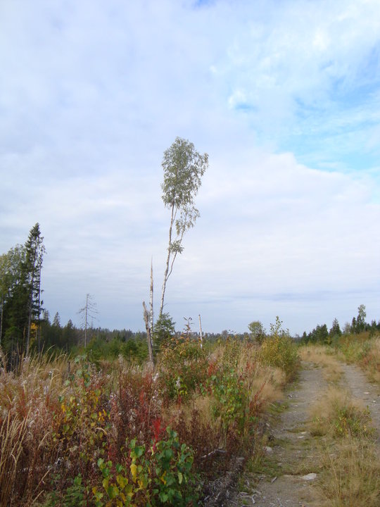 DSC04383.JPG