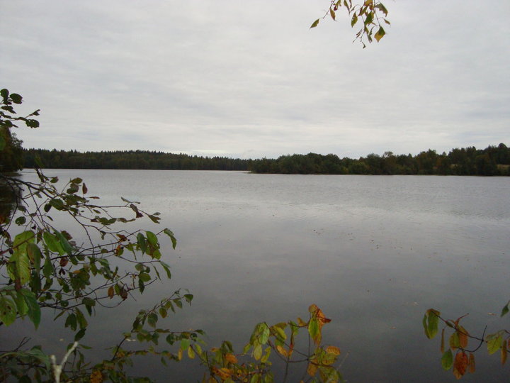 DSC04401.JPG