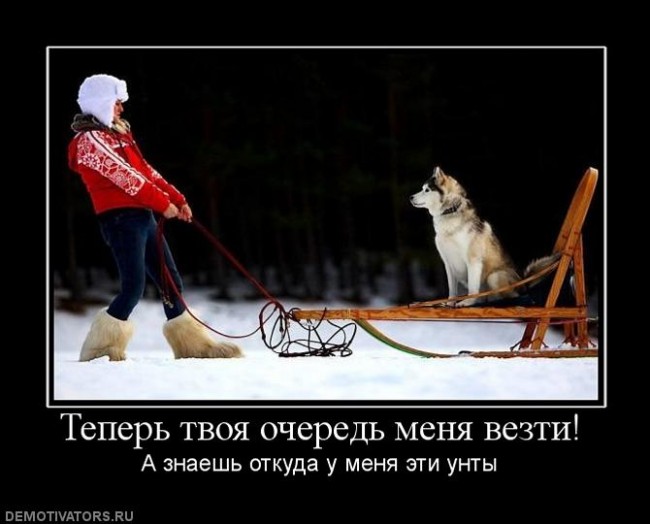 328060_teper-tvoya-ochered-menya-vezti.jpg