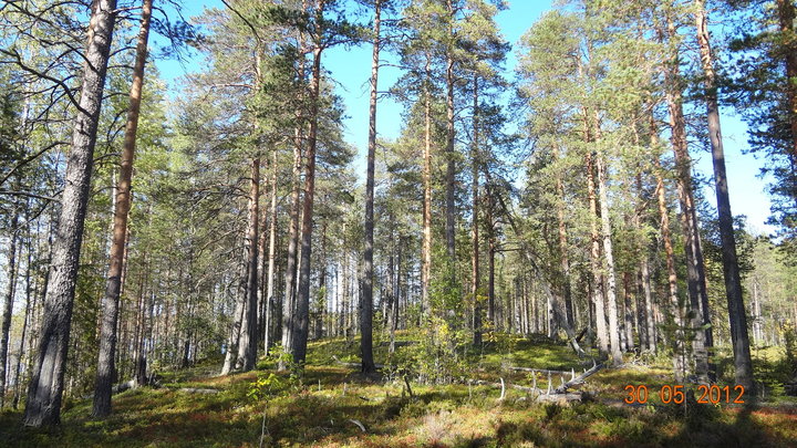 DSC00441.JPG