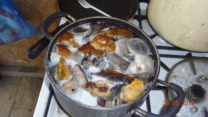 DSC00454.JPG