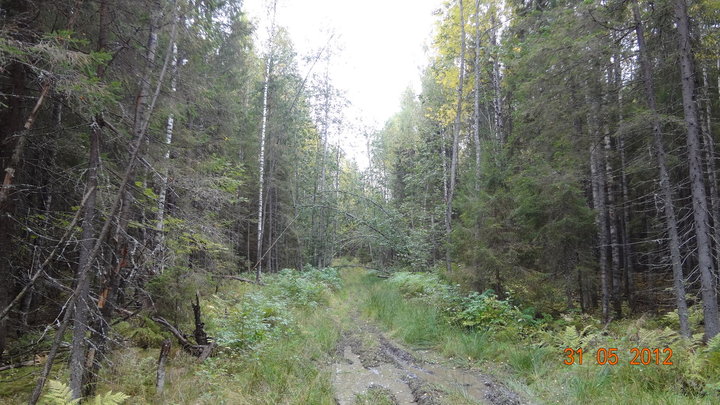 DSC00468.JPG (391.16 КБ) 3708 просмотров DSC00468.JPG