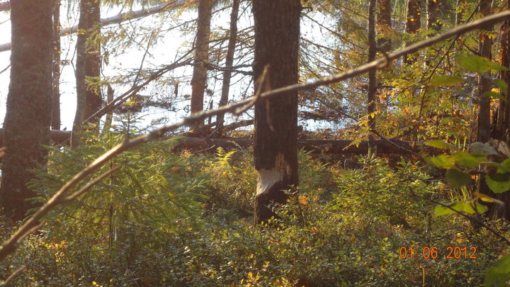 DSC00512.JPG