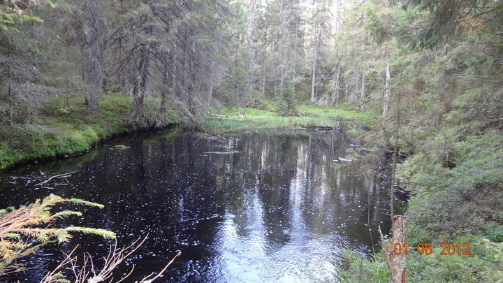 DSC00539.JPG