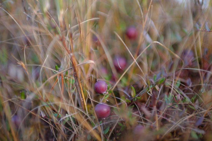 KMK_0117.jpg