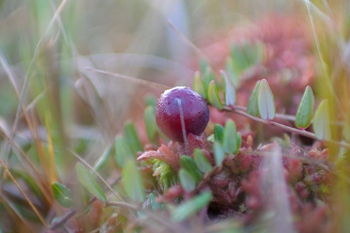 KMK_0116.jpg