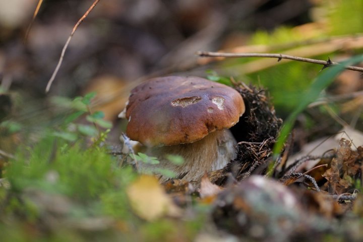KMK_0180.jpg