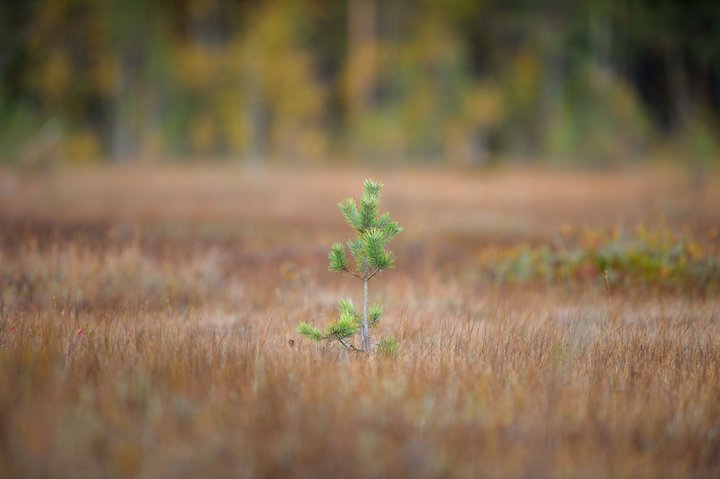 KMK_0090.jpg
