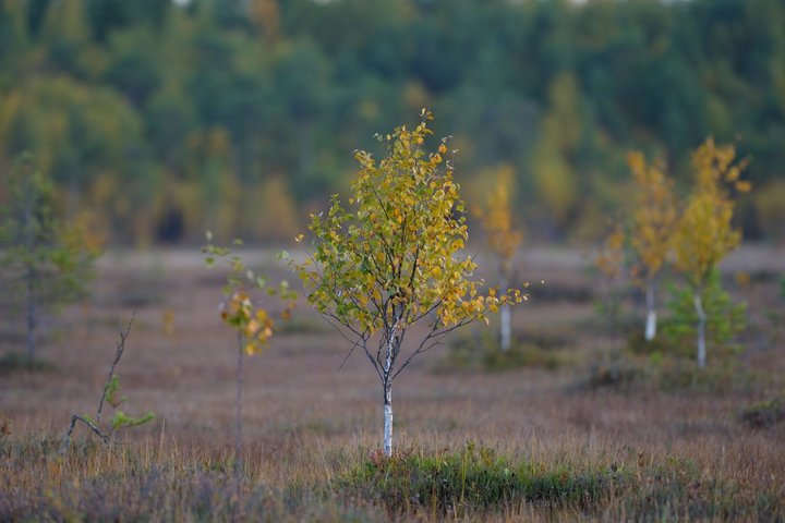 KMK_0096.jpg