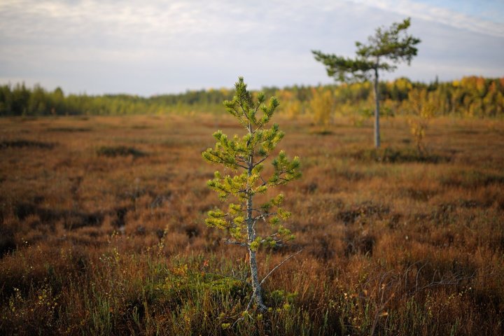 KMK_0144.jpg