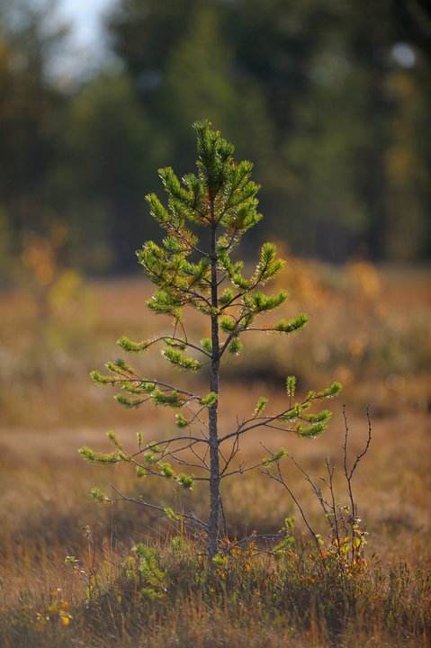 KMK_0174.jpg