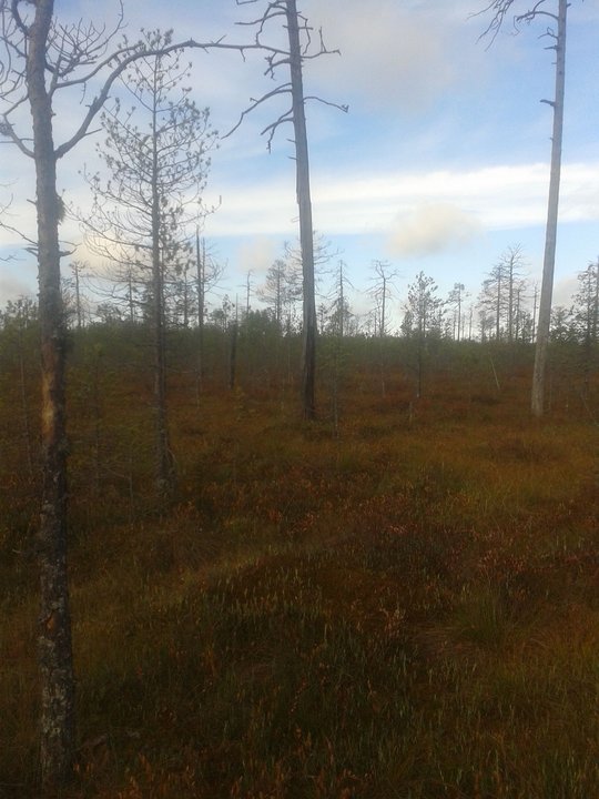 20150927_110250.jpg