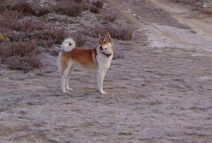 PA090047.jpg