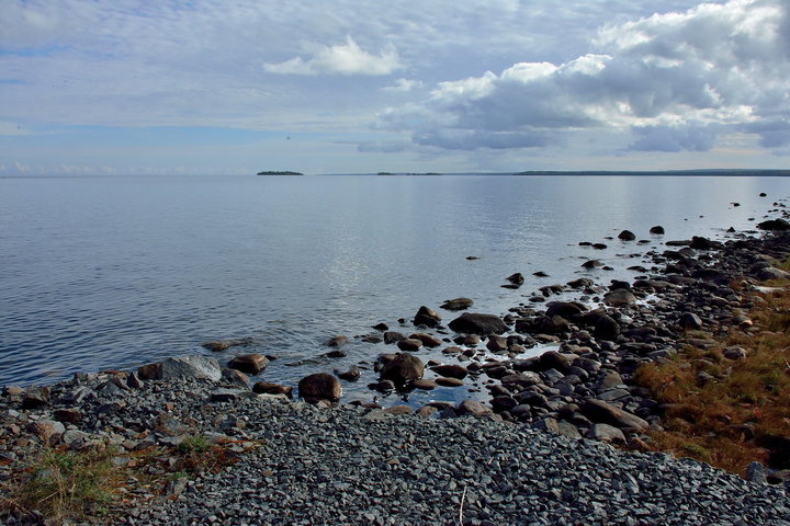 DSC_2930.jpg