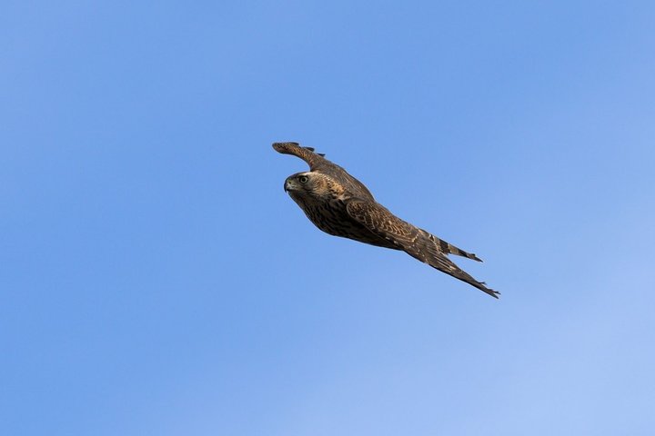 KMK_0875.jpg