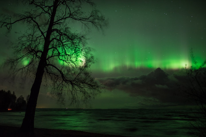 DSC_7156.jpg (597.89 КБ) 4549 просмотров DSC_7156.jpg