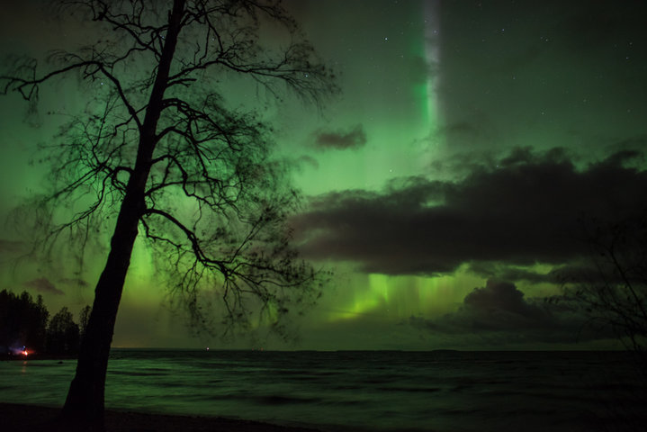 DSC_7380.jpg (605.82 КБ) 4792 просмотра DSC_7380.jpg