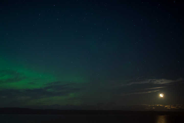 DSC_7645-Edit.jpg (416.27 КБ) 4576 просмотров DSC_7645-Edit.jpg