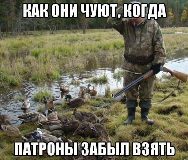 N2PZgMfSeKE.jpg