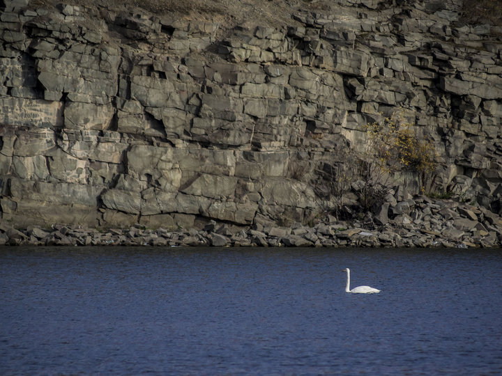 PA140371.jpg