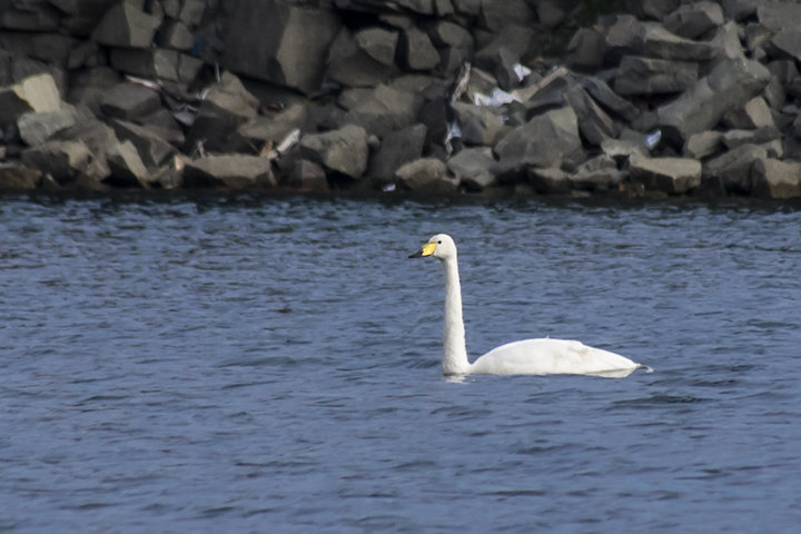PA140375.jpg