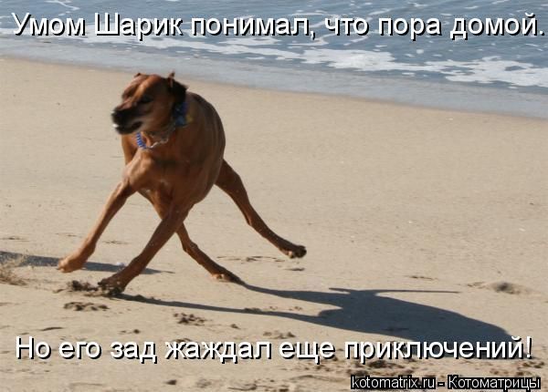 full.jpg
