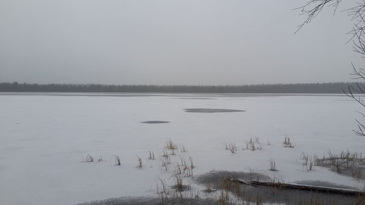 20151031_091605.jpg