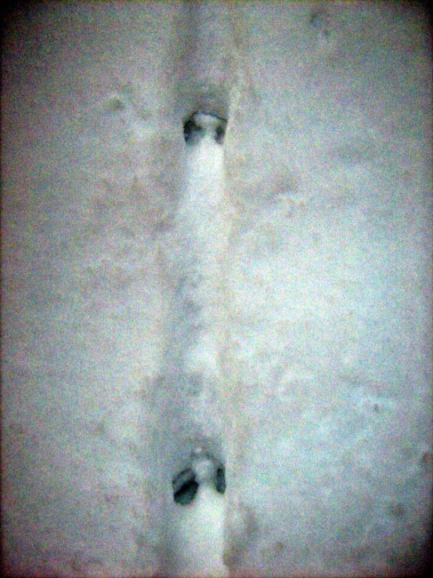 sled01.jpg