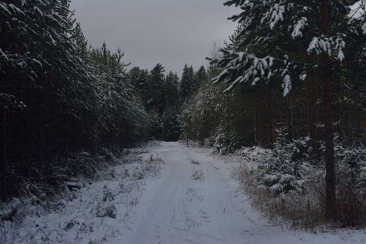 DSC_2958.JPG