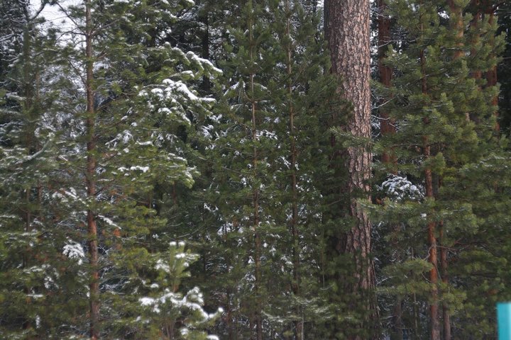 DSC_2962.JPG