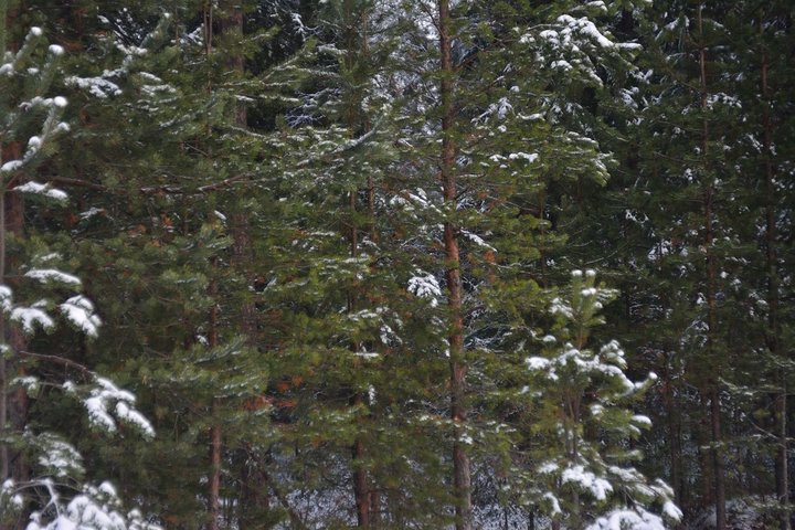 DSC_2963.JPG