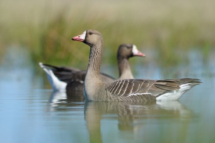 DSC_3027.jpg