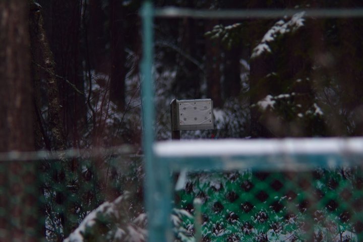 DSC_2964.JPG