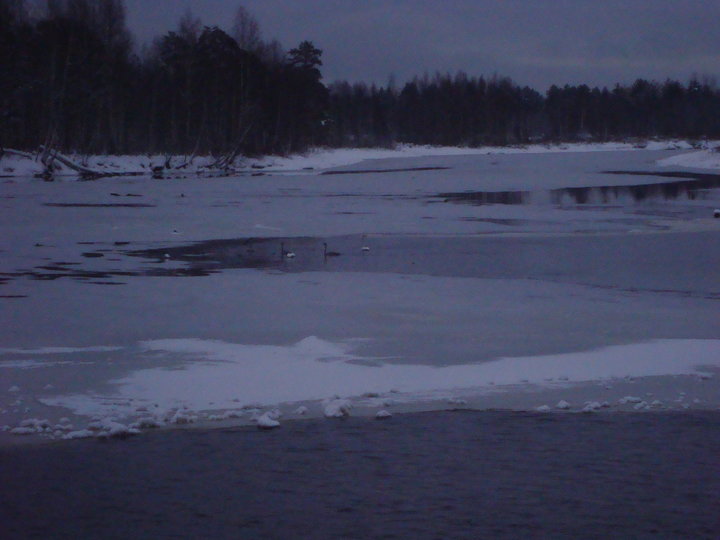 DSC04725.JPG