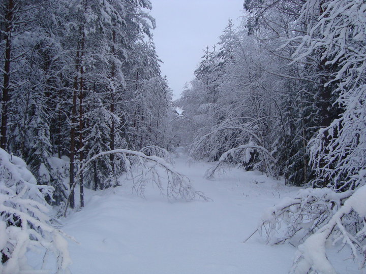 DSC04729.JPG