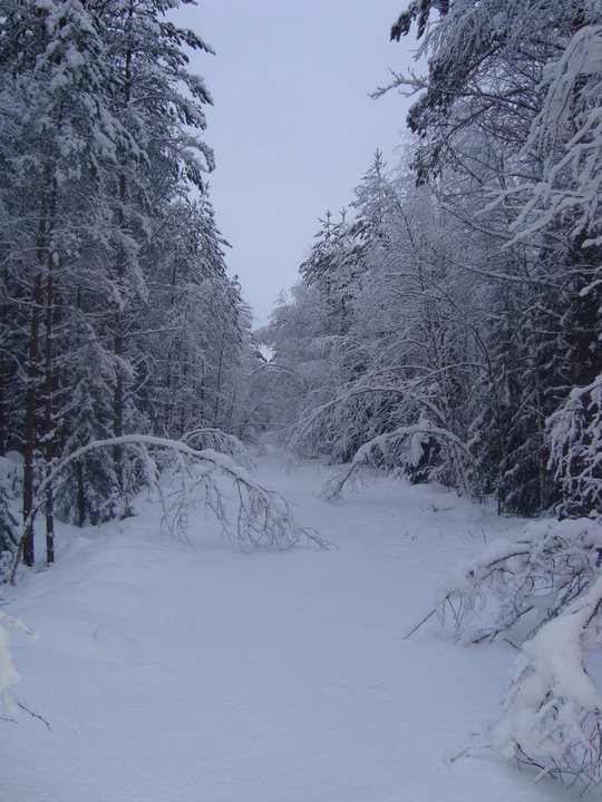 DSC04730.JPG
