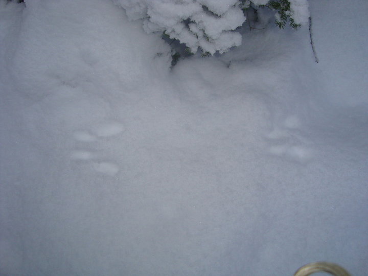 DSC04731.JPG