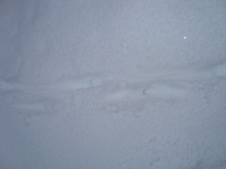 DSC04734.JPG