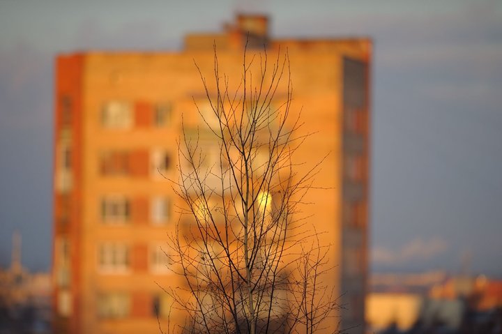 KMK_0542.jpg