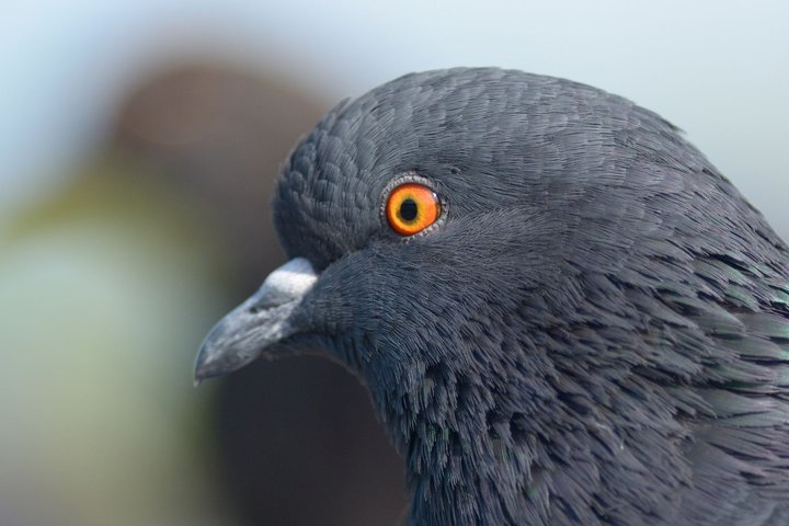 DSC_2117.jpg1.jpg