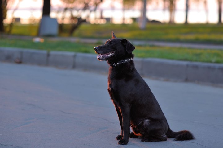 DSC_4706.jpg