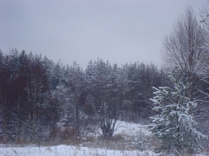 DSC04746.JPG