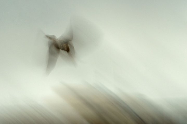 KMK_0581.jpg