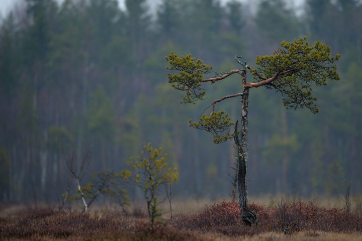 KMK_0374.jpg