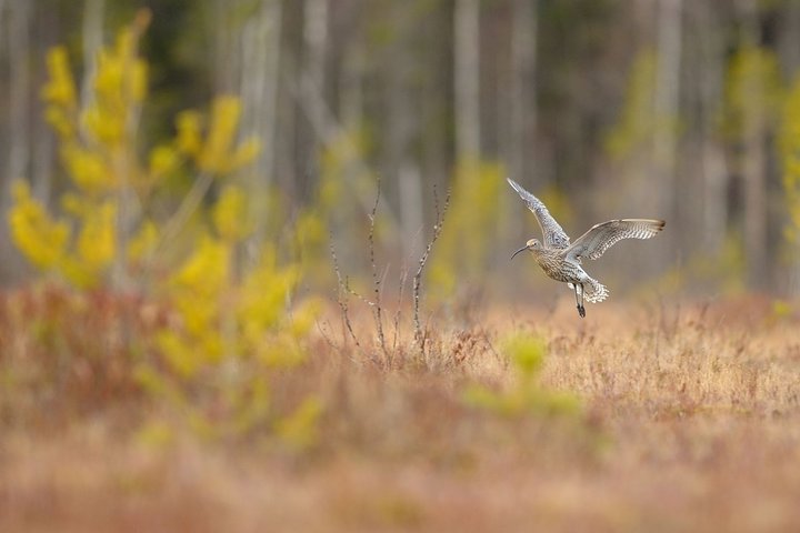 DSC_7255.jpg