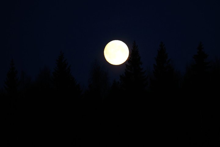 KMK_0244.jpg